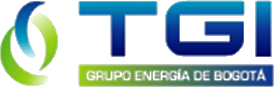 TGI — Transportadora de Gas Internacional